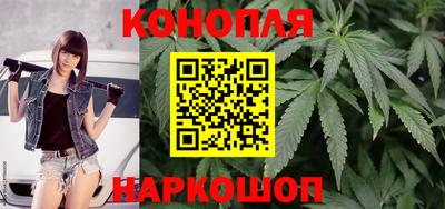 скорость Кингисепп